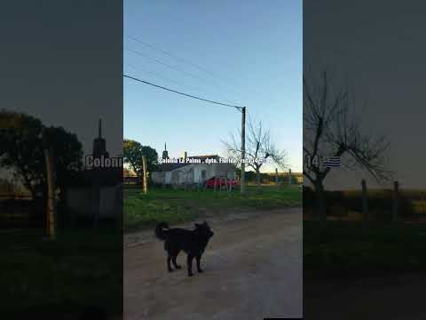 Colonia La Palma , departamento de Florida , ruta 14 , Uruguay 🇺🇾 .