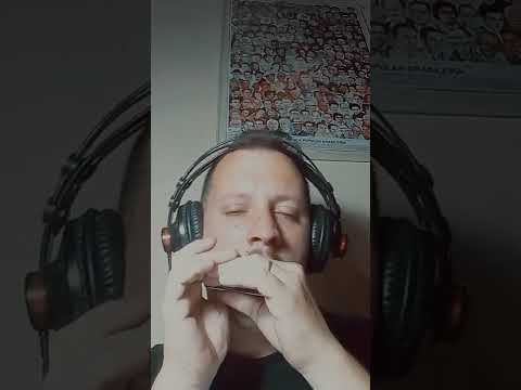 OVERBLOW-BOOSTER Mk2 - First Music Recording, by André Coelho