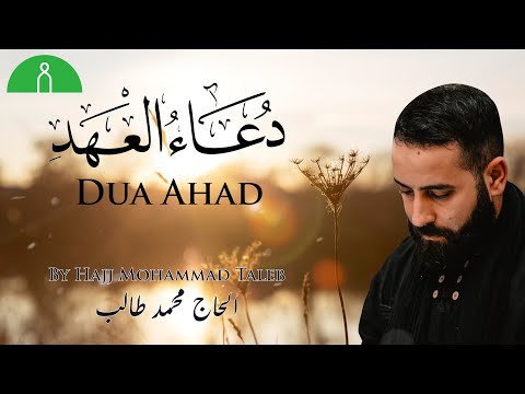 Dua Ahad (English) | Hajj Mohammad Taleb | دعاء العهد