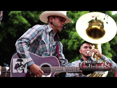 Los Codiciados "Vida Peligrosa" (El Solecito) 2016