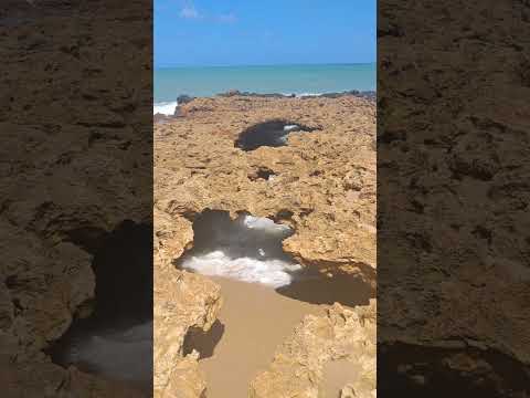 #PraiaDoCoqueirinho ☀️🌊🌴⛱️ #Conde #Paraiba