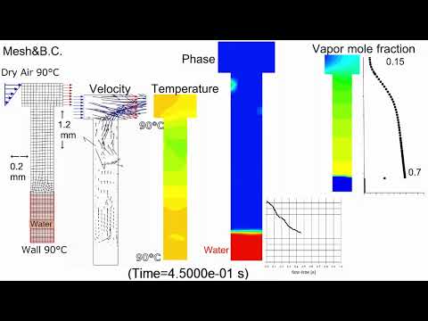 CFD Arnold Diffusion Cell -Heat and Mass Transfer Model for Unimolecular Diffusion-