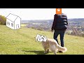 Crunchy Roll Take Me Home Animatic