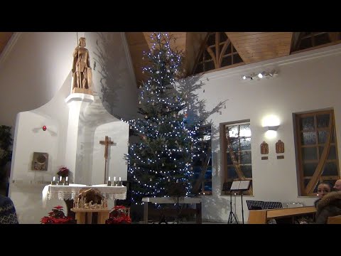 novoroční koncert 2020,  sestřih