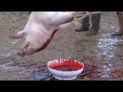 Trattamento di dipendenza alcolica in targhe Cura di alcolismo in Sevastopol e Simferopol
