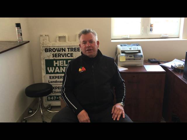 Brown Tree Service - Palatine, IL