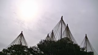 My Reverie Music Video