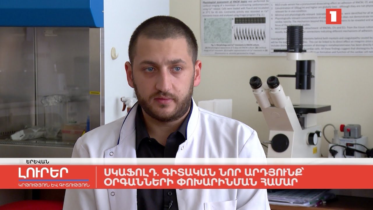 Սկաֆոլդ. գիտական նոր արդյունք՝ օրգանների փոխարինման համար