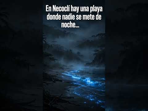 la playa de Necocli. Que Brilla. de Noche y Nadie se Atreve a centrar 😨
