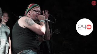 Jimi Hendrix összefutott Petőfivel a Völgyben | 24.hu