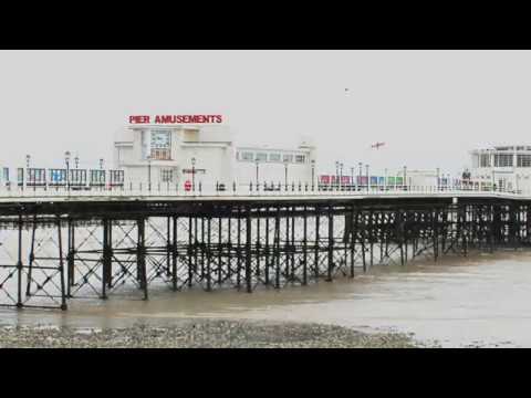 Viviankrist - Insects 'Remember When’ Andrew Liles remix