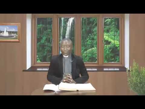 THE DAILY FOUNTAIN OF AUGUST 19, 2017