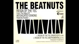 The Beatnuts - Reign Of The Tec (Radio Edit)