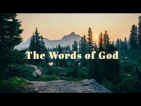 The Book of Acts 14 1:28