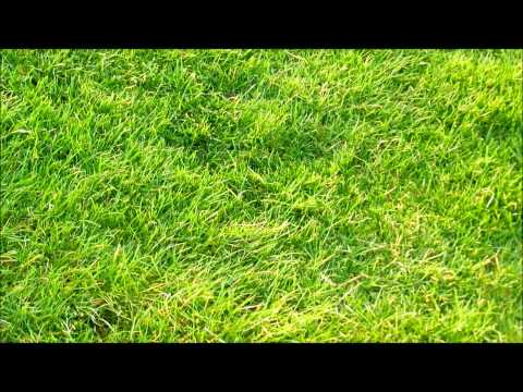 28 jan 2012 Internos A3 - N. Borgvliet A1 werd 1-2