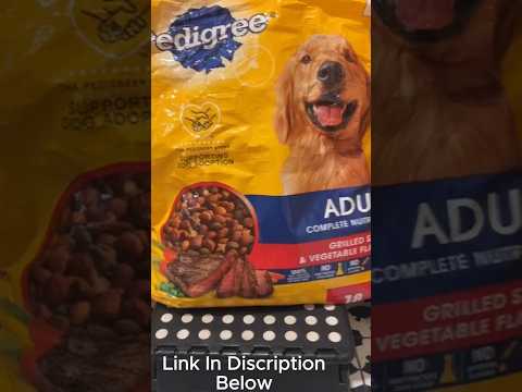 Best Budget Dog Food Pedigree Review 🥩🐾