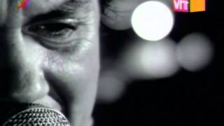 Entre Tus Jardines Lyrics English Translation
