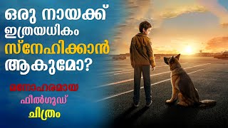Download lagu Palma 2021 Explained in Malayalam | Part 1 | Movie explained | Cinema Katha mp3 Download lagu Palma 2021 Explained in Malayalam | Part 1 | Movie explained | Cinema Katha mp3