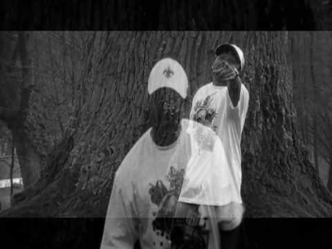 KirsFlame Tiger mCzOx stay focus