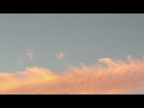 Sander W - Postman (Ft. Sax'Appeal)