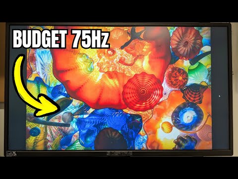 Sceptre 24 Inch LED Monitor - Quick Review (75Hz Budget Option!)