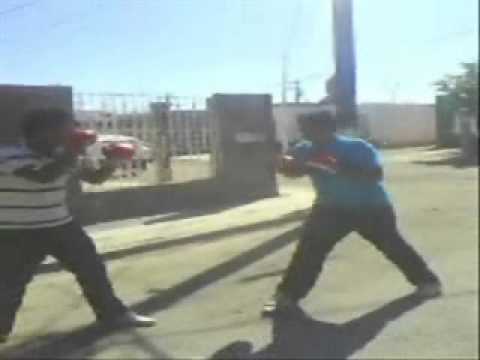 el miguelon vs pelucas