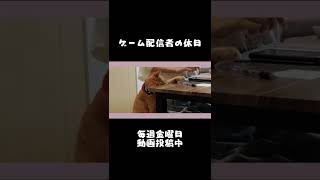 ゲーム配信者の休日Vlog #shorts