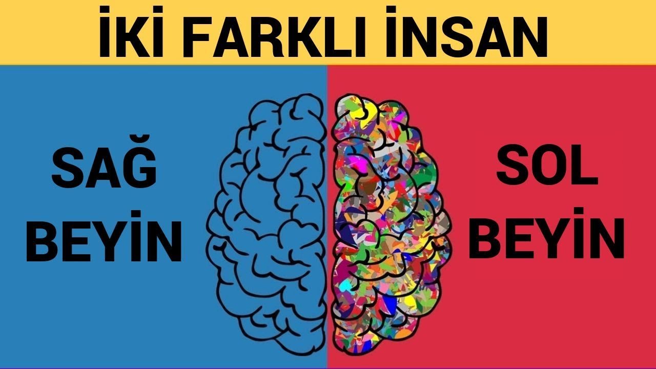 Bora Küçükyazıcı-39