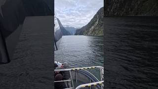 Milford Sound Cruise 🇳🇿 Is It Really Worth the Hype?