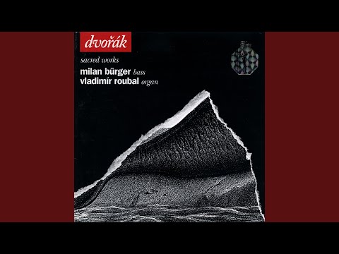 Organ Improvisation II