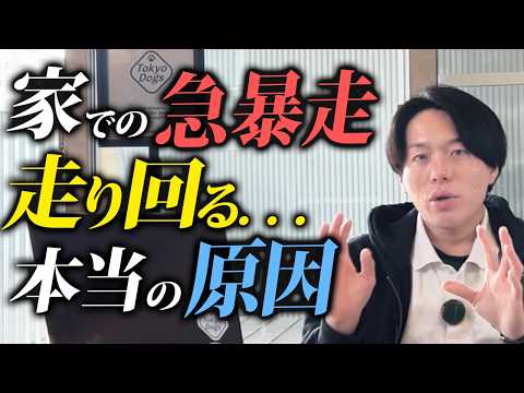 公式YouTube