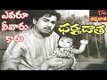 Dharma Daata Songs Yevaroo Neevaru Kaaru Video Song ANR Kanchana DharmaDaata