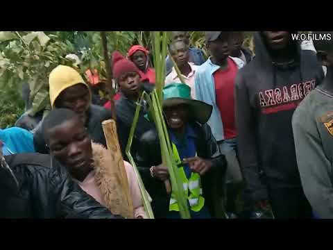 Circumcision process on the way behind the scene