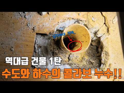 역대급 건물.. 대환장 콜라보누수 part.1｜동대문 현장