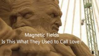 Magnetic Fields  Is This What They Used to Call Love?