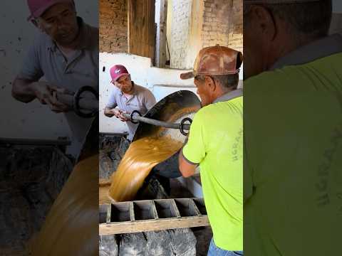 RESPEITE A RAPADURA DO SERTÃO PARAIBANO. #tvchicocobradagua #fazenda #nordeste #vidanaroça