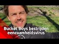Zo word je buddies met een eenzame oudere