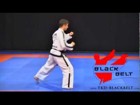 DO-SAN TUL by Jaroslaw Suska - www.tkd-blackbelt.com