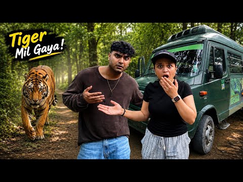     🐅 Finally! Bengal Tiger Spotted 😱 | Siliguri Bengal Safari