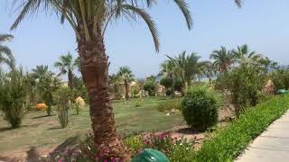 Видео об отеле   The Three Corners Fayrouz Plaza Beach Resort, 4