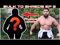 BULK TO SHREDS EPISODE 3/ PHYSIQUE UPDATE (WIFE MADE ME DO TIKTOK Q&A CHALLENGE)