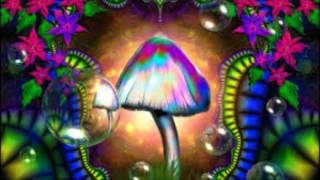 Infected Mushroom: A Tribute Mix