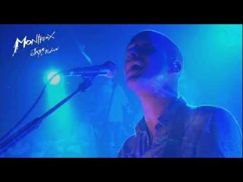 The Kingdom - Milow