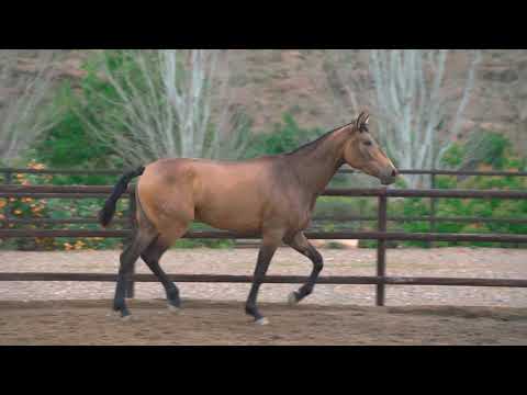 Reina con tres años, abril 2021