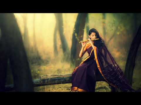 Barcode Brothers - Flute (Extended Version)