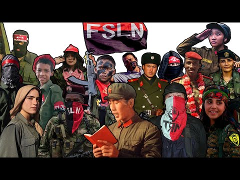 Every Communist Guerrilla Group Explained