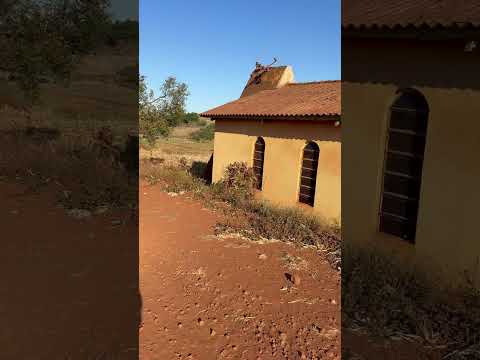 Zona rural da Barra do Jacaré Pr
