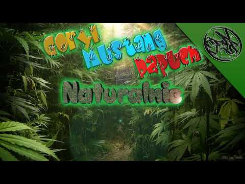 Papuch X Mustang X Goryl - Naturalnie