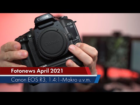 Canon EOS R3 mit Eye Control, 1.4:1 Makro und Super-Tele für EOS-R-Kameras | Foto-News