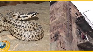 «Օձերի ու կարիճների մեջ ենք, չգիտենք՝ կզարթնե՞նք». մարդիկ փողոցում են, քաղաքապետը՝ արձակուրդում